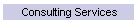 Consulting Services