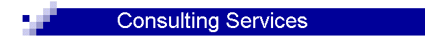Consulting Services